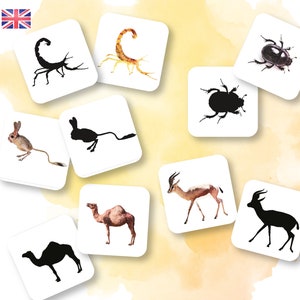 Jeu des ombres - activité enfant Montessori à imprimer - Animaux du désert a imprimer - Français Anglais