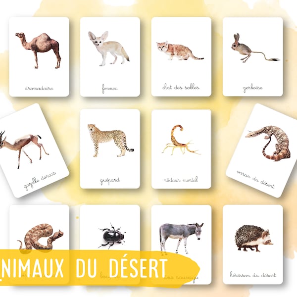 21 Montessori Cards - Desert Animals - French - Classified Images - Watercolor - IEF - Home School