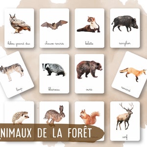 32 Montessori Cards Forest Animals French Classified Images Watercolor IEF Homeschool image 1
