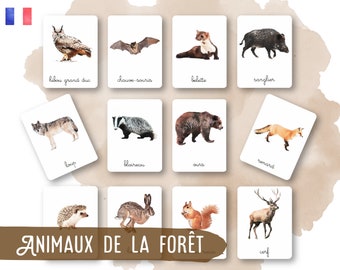 32 Montessori Cards - Forest Animals - French - Classified Images - Watercolor - IEF - Homeschool