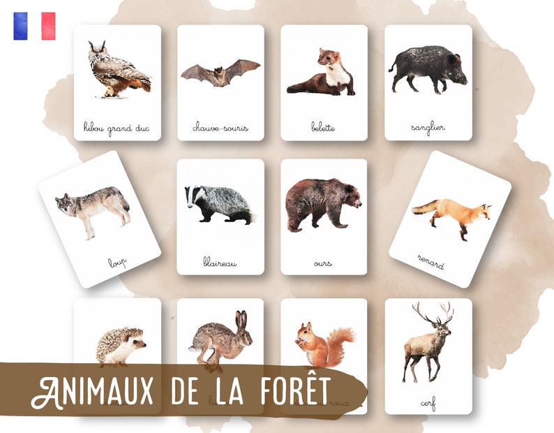 32 Montessori Cards Forest Animals French Classified Images Watercolor IEF Homeschool image 1