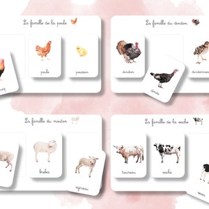 13 Farm Animal Families - Montessori Cards - French - Watercolor - IEF - Homeschool