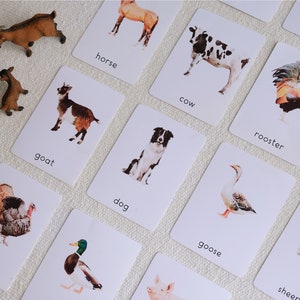 16 Cartes Montessori ANGLAIS- Animaux de la ferme  - Images classifiées -Aquarelle - IEF - Ecole à la maison