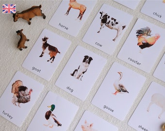 16 Montessori cards - Farm Animals - English - 3 part cards Watercolor - Homeschooling