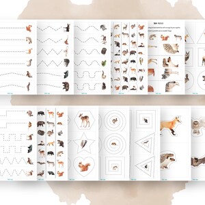 Puede incluir: Un conjunto de hojas de trabajo imprimibles con varios animales del bosque. Las hojas de trabajo incluyen trazar l&iacute;neas, formas y animales. Las hojas de trabajo est&aacute;n dise&ntilde;adas para ni&ntilde;os de preescolar y jard&iacute;n de infantes.