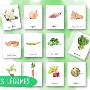 35 Cartes Montessori - Les légumes - Français - Images classifiées -Aquarelle - IEF - Ecole à la maison