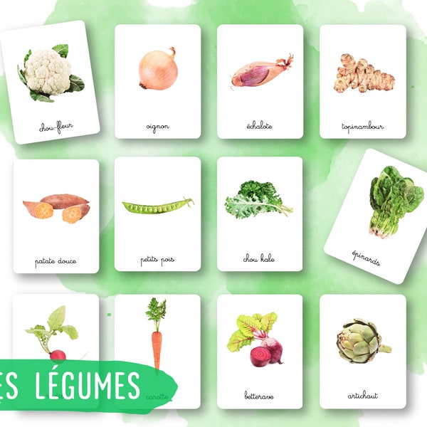 35 Montessori Cards - Vegetables - French - Classified Images - Watercolor - IEF - Homeschool