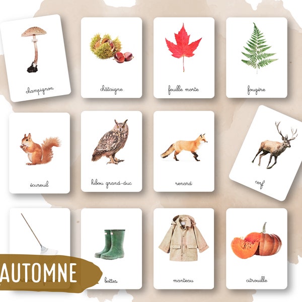 44 Cartes Montessori - L'automne - Français - Images classifiées -Aquarelle - IEF - Ecole à la maison