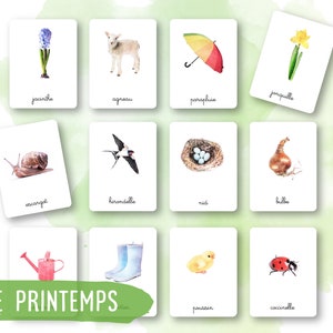 24 Cartes Montessori - Le printemps - Français - Images classifiées -Aquarelle - IEF - Ecole à la maison