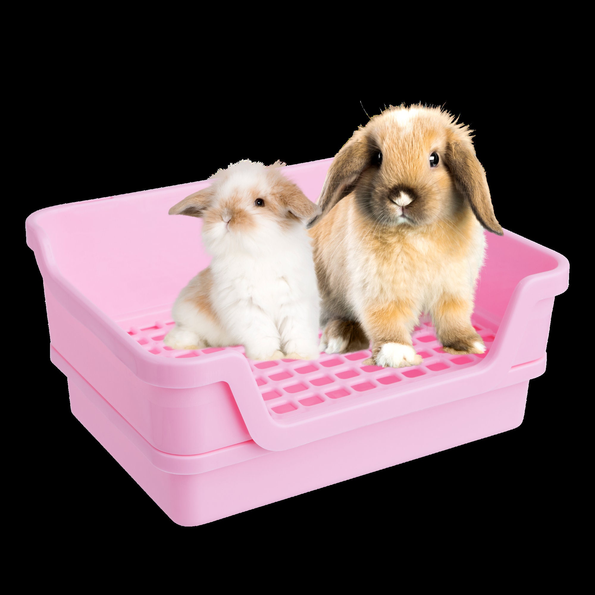 Hoppscotch.bun BUMBOX Large Rabbit Litter Box W/ Plastic Grid Etsy