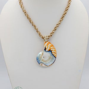 Tiger White Pearl Nautilus Shell Handmade Pendant in Half Cut Nautilus image 2