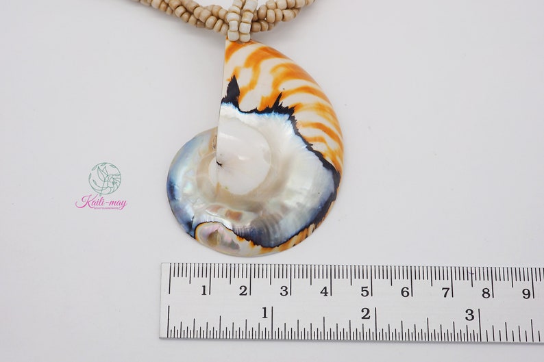 Tiger White Pearl Nautilus Shell Handmade Pendant in Half Cut Nautilus image 5
