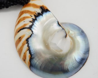 Pendentif fait main en forme de coquillage de nautilus et de perles blanches de tigre en nautile coupé en deux