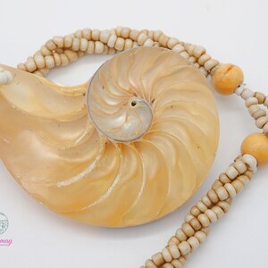 Tiger White Pearl Nautilus Shell Handmade Pendant in Half Cut Nautilus image 9