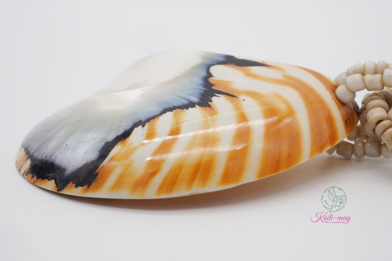 Tiger White Pearl Nautilus Shell Handmade Pendant in Half Cut Nautilus image 7