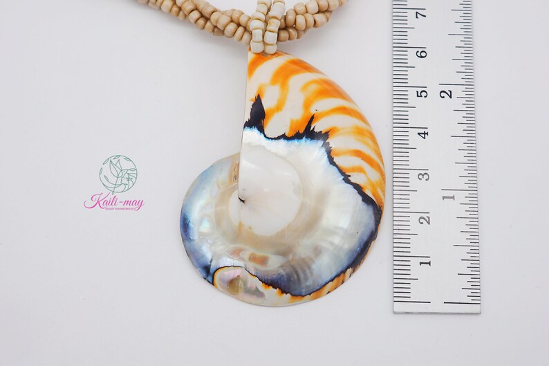 Tiger White Pearl Nautilus Shell Handmade Pendant in Half Cut Nautilus image 4