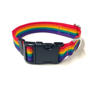 May include: A rainbow-coloured dog collar with a black plastic buckle and a silver metal D-ring.