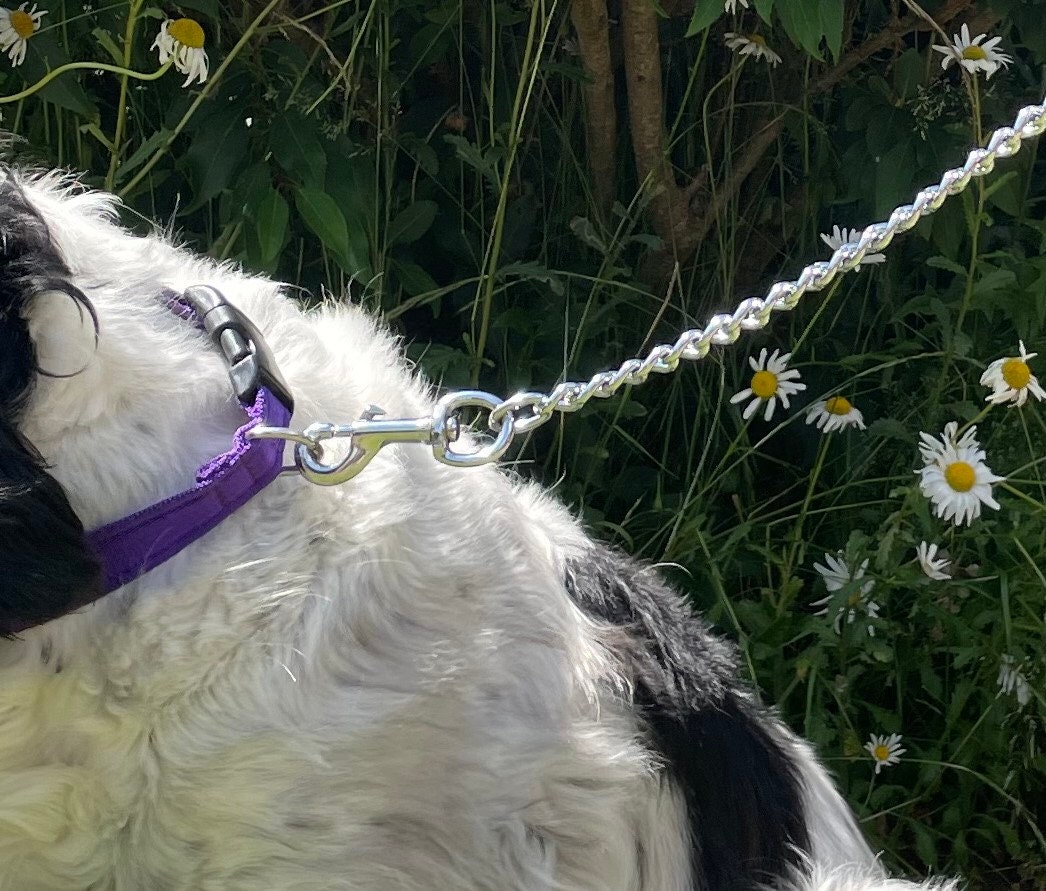 thumbnail image 2 of Heavy Duty Metal Chain Dog Lead – 32 Inch Long, 4mm Chain, Padded Handle – 11 Colors Available 2 of 5