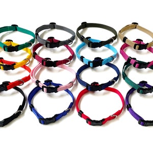 May include: Assortment of 12 colourful dog collars with black plastic buckles. The collars are made of nylon webbing and come in a variety of colours, including red, blue, green, yellow, pink, and purple.