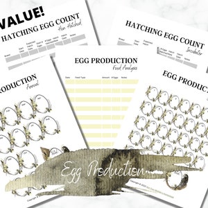 Egg Production Tracker | Printable Backyard Chickens Records | Hen Hatching Journal