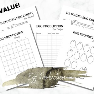 Printer Friendly Egg Production Tracker | Printable Backyard Chickens Records | Hen Hatching Journal