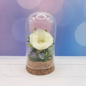 May include: A white flower with green leaves is displayed in a glass dome on a cork base. The dome is clear and sits on a white surface.