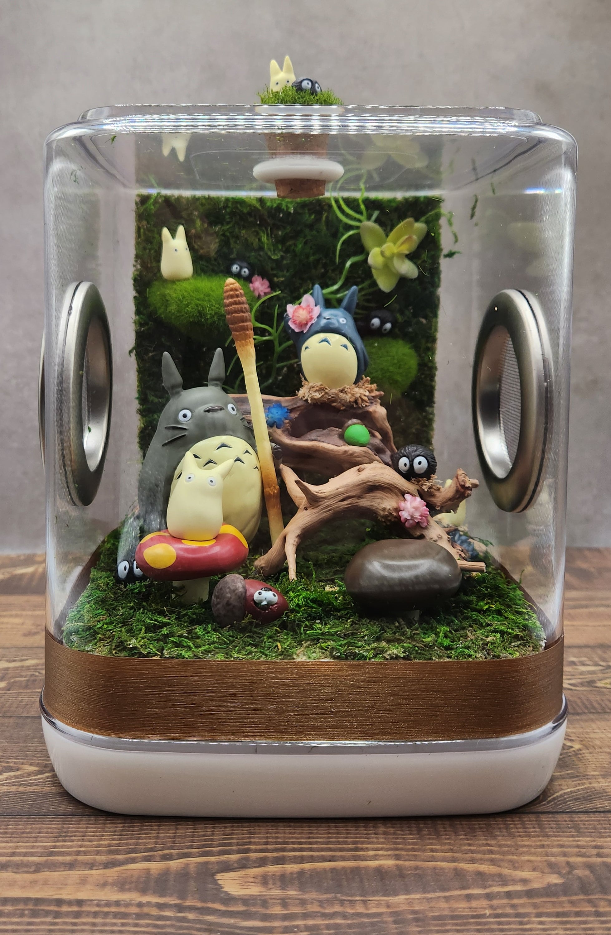 Large Totoro Studio Ghibli Themed Jumping Spider Enclosure 6