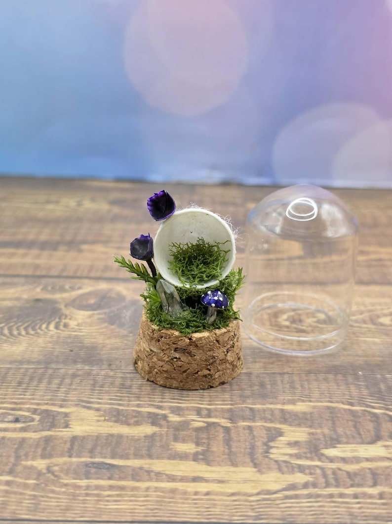 Custom Final Resting Place- Memorial enclosure for jumping spiders. image 8