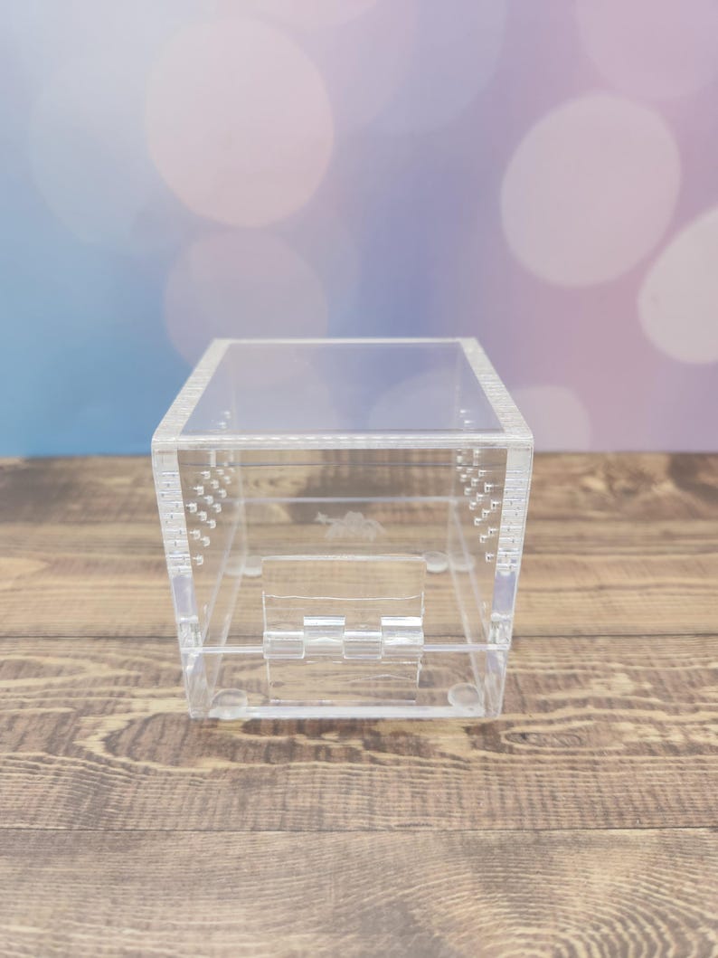 Axlotl Themed Top Opening Hinged Jumping Spider Sling Enclosure Etsy