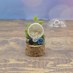 Custom Final Resting Place- Memorial enclosure for jumping spiders. image 19