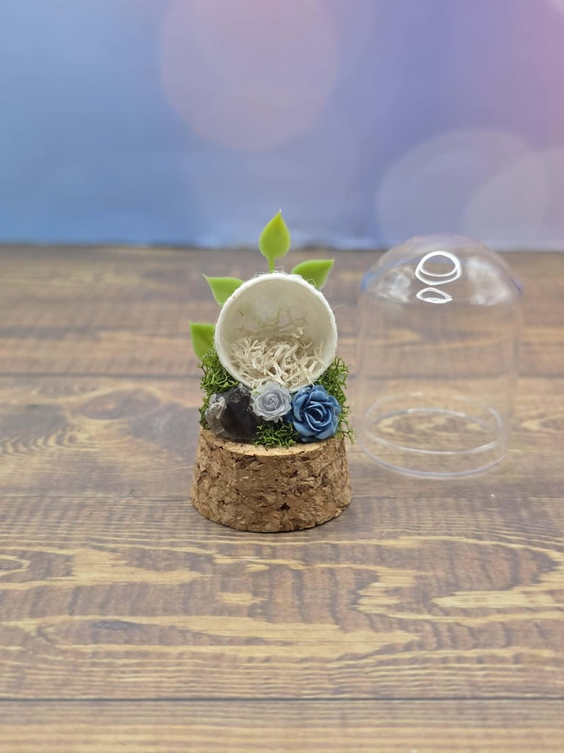 Custom Final Resting Place- Memorial enclosure for jumping spiders. image 19