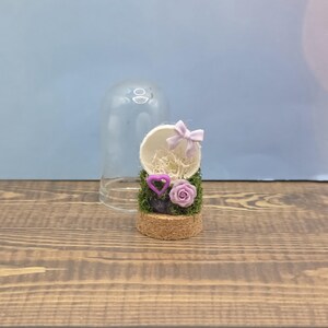 Custom Final Resting Place- Memorial enclosure for jumping spiders. image 20