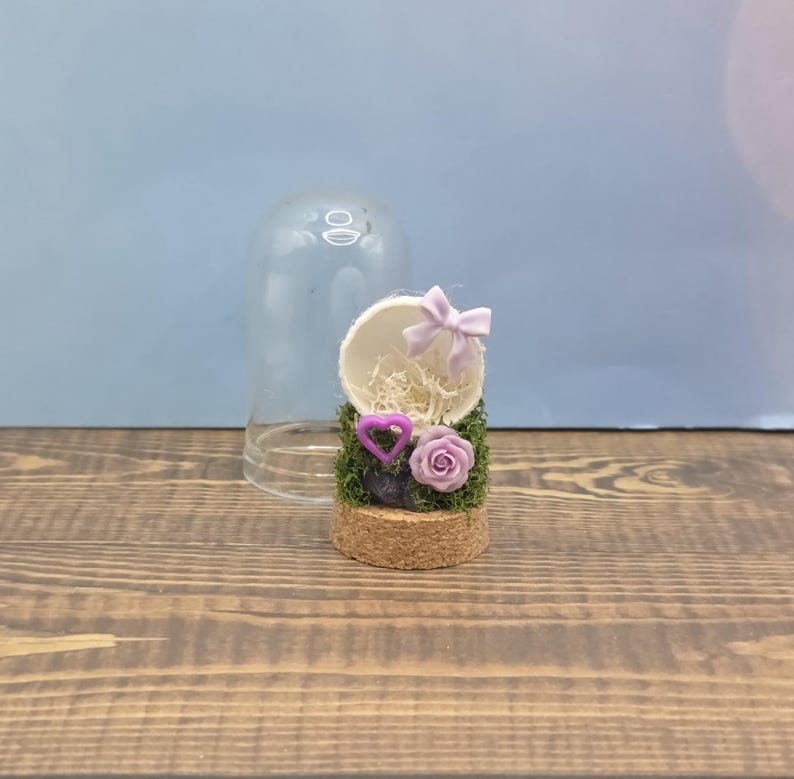 Custom Final Resting Place- Memorial enclosure for jumping spiders. image 20