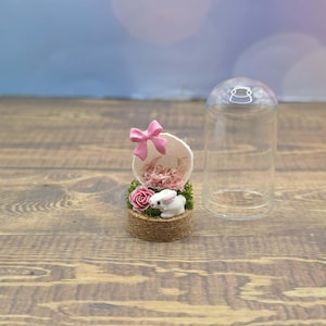 Custom Final Resting Place- Memorial enclosure for jumping spiders. image 15