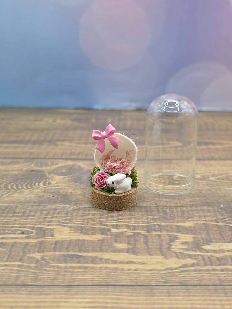 Custom Final Resting Place- Memorial enclosure for jumping spiders. image 15