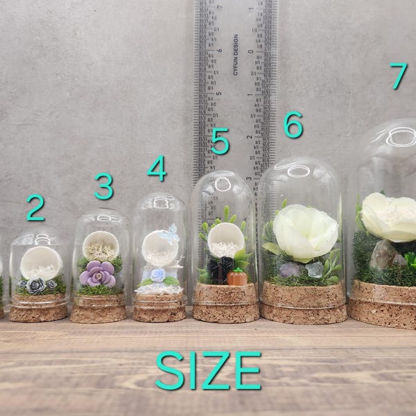 Custom Final Resting Place- Memorial enclosure for jumping spiders.