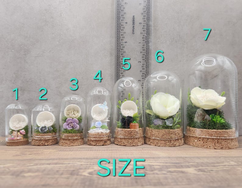 May include: Ten glass cloche domes of varying sizes, numbered 1 through 7, with cork bases. Each dome contains a miniature floral arrangement with moss and decorative elements. The domes are arranged in order of size, with the smallest dome on the left and the largest dome on the right.