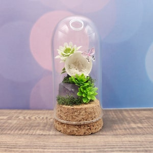 Custom Final Resting Place- Memorial enclosure for jumping spiders. image 11