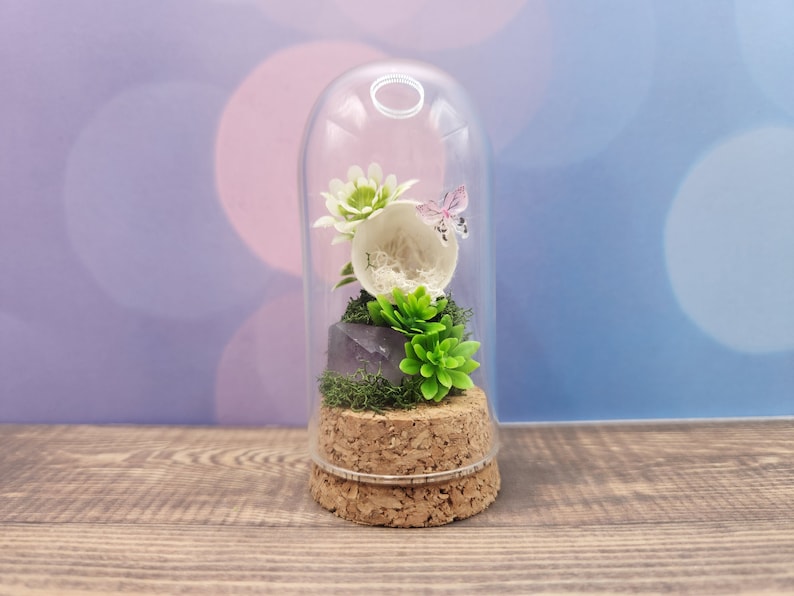 Custom Final Resting Place- Memorial enclosure for jumping spiders. image 11