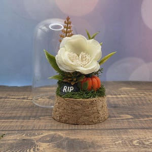 Custom Final Resting Place- Memorial enclosure for jumping spiders. image 6