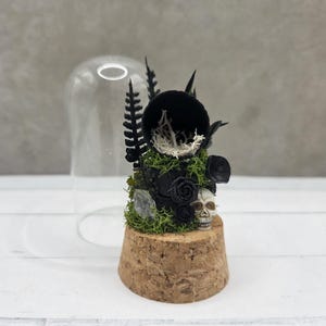 Custom Final Resting Place- Memorial enclosure for jumping spiders. image 5