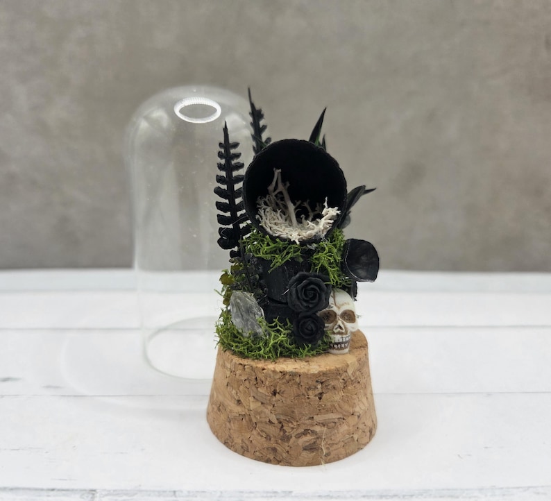 Custom Final Resting Place- Memorial enclosure for jumping spiders. image 5