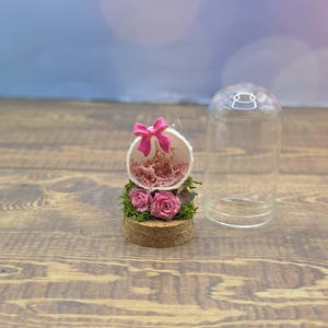 Custom Final Resting Place- Memorial enclosure for jumping spiders. image 16