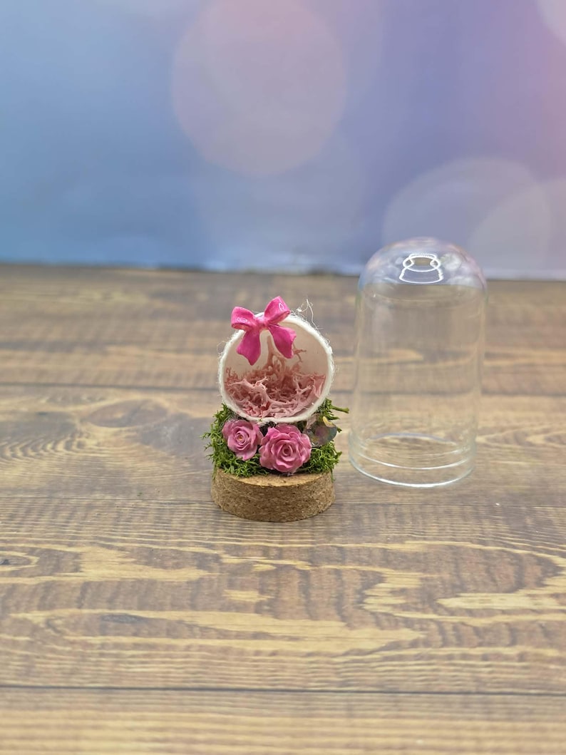 Custom Final Resting Place- Memorial enclosure for jumping spiders. image 16