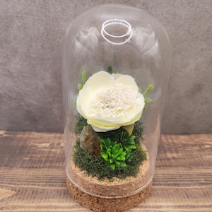 May include: A white flower preserved in a glass dome with a cork base. The dome is filled with green moss and a small brown crystal.