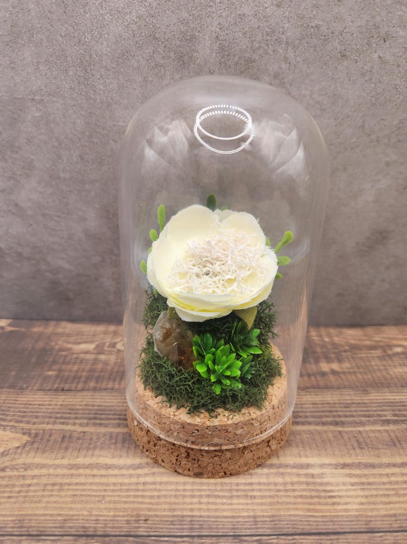 May include: A white flower preserved in a glass dome with a cork base. The dome is filled with green moss and a small brown crystal.