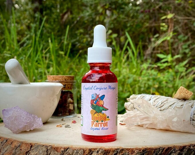 Good Luck Elixir Lucky Parrot When You Need all the Luck in the World Etsy