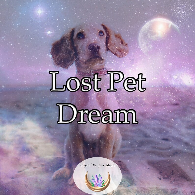 Lost Pet Dream Magnify the Invisible Line of Affection, Trust, and