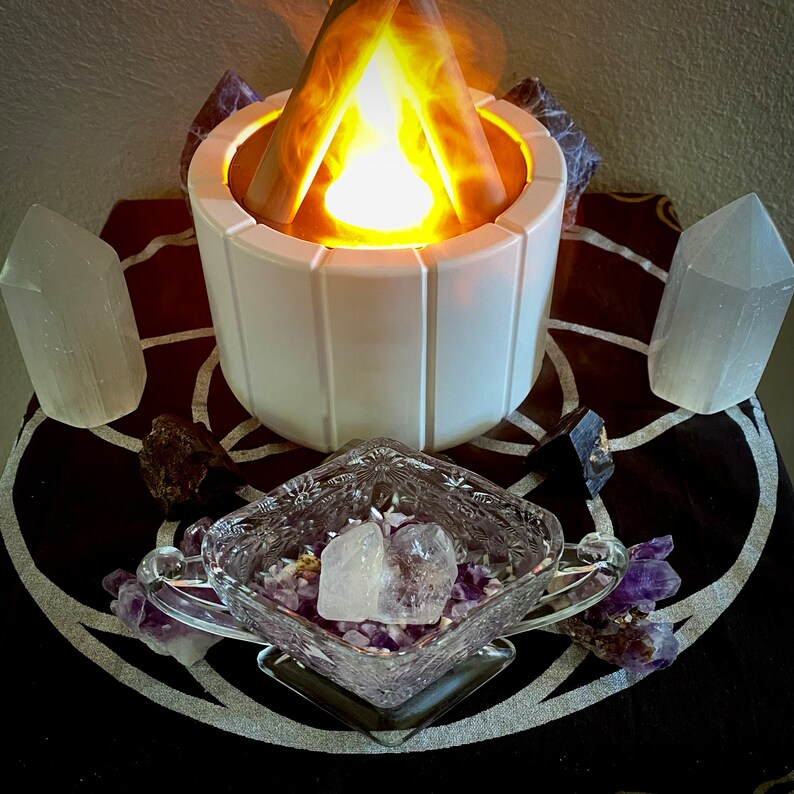 Lost Pet Dream Magnify the Invisible Line of Affection, Trust, and