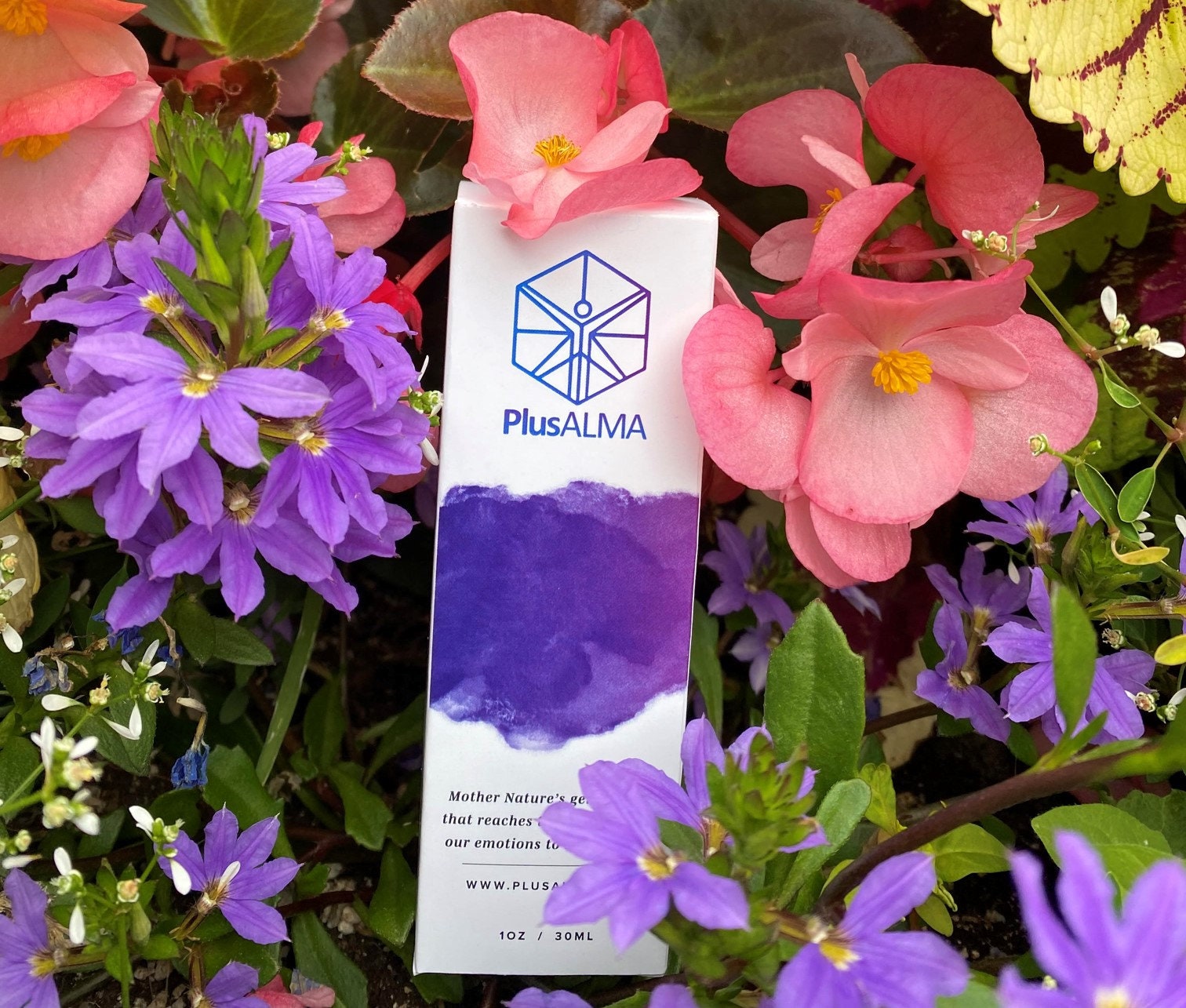 Find Your Essence Questionnaire Bach Flower Remedies Flower Essence